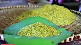秋天的礼物——河内扁米