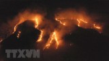Hàng trăm đám cháy mới xuất hiện tại rừng Amazon ở Brazil