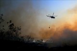 Indonesia: Four helicopters deployed to douse forest fires