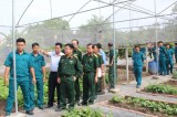 Ban chỉ huy quân Sự TX.Thuận An: Tổ chức hội thi “Trụ sở chính quy xanh - sạch - đẹp” năm 2019