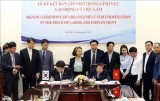 Vietnam, RoK foster comprehensive labour cooperation