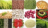 越南为了满足欧盟市场新规定加强出口农产品检疫