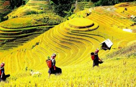 国庆假期老街省吸引成千上万名游客观光游览