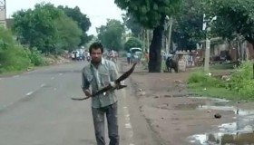 Người đàn ông 3 năm bị đàn quạ đeo bám