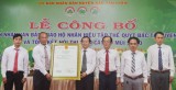 Awarding collective protection of trademark to Bac Tan Uyen tangerine