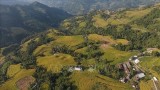 越南河江省黄树肥力争走向可持续发展