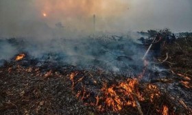 Indonesians’ life expectancy likely to fall due to haze from wildfires