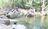 Dau Tieng ecotourism absorbs tourists