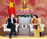Vietnam to seriously realise commitments in deals with EU: NA leader
