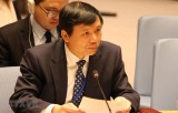 'Chủ trương của Việt Nam là ủng hộ các tiến trình pháp lý quốc tế'