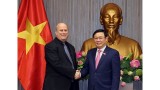越南政府副总理王廷慧会见亚太反洗钱小组（APG）代表团