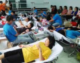Hơn 250 đoàn viên, sinh viên tham gia hiến máu tình nguyện