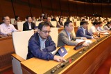 ILO applauds Vietnam’s adoption of revised Labour Code