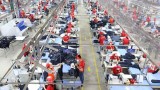 30年来流入越南纺织服装业的外资达近193亿美元