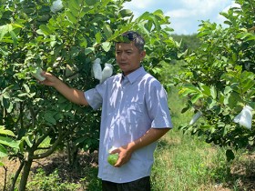 Ngành nông nghiệp: Ứng dụng công nghệ để tạo đột phá