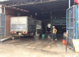 Thông tin tiếp theo vụ cơ sở thu mua mủ cao su ở ấp Lò Gạch, xã Minh Thạnh, huyện Dầu Tiếng gây ô nhiễm: Cơ quan chức năng kiến nghị UBND huyện rút giấy phép kinh doanh
