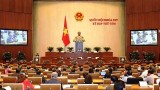2019年越南国会八大事件盘点
