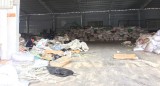 Thông tin tiếp theo vụ cơ sở tái chế nhựa gây ô nhiễm: Chủ nhà xưởng không hợp tác với tổ kiểm tra
