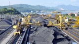 越南煤炭矿产工业集团力争实现2020年煤炭销售量增长10%