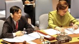 越南主持联合国安理会巩固西非和平会议