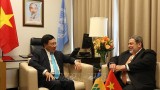 越南政府副总理兼外交部长会见各国领导与外交部长
