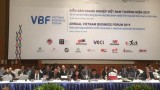 2019年越南企业家论坛正式开幕 聚焦FDI企业在促进经济可持续发展中的作用