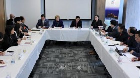 2020东盟主席年：越南主持召开驻联合国东盟委员会会议
