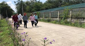 Những con đường mùa xuân...