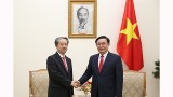 越南政府副总理王廷惠会见中国驻越南大使