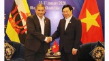 越南政府副总理兼外交部长范平明会见文莱外交部第二部长艾瑞万