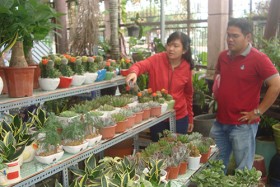 Săn hàng “độc” chơi tết