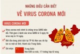 Những điều cần biết về virus Corona mới