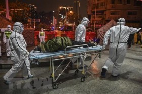 No Vietnamese students in China infected with nCoV so far: embassy