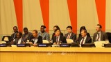 越南与联合国：越南成功担任2020年1月联合国安理会轮值主席