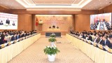 阮春福总理：越南拥有多家先进的电信和信息技术企业有足够能力参与电子政务建设