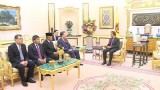 Public security minister pays courtesy call to Sultan of Brunei