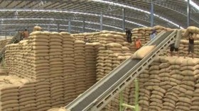Thailand moves to reclaim world biggest rice exporter spot