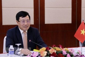 ASEAN foreign ministers talk COVID-19 fight