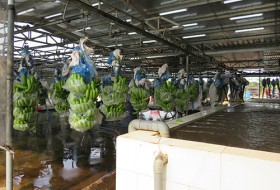 Đổi thay ở xã Thanh An