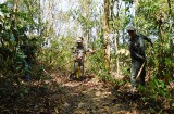 Phú Giáo: Tích cực phòng chống cháy rừng