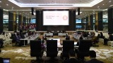 东盟一体化倡议工作组第60次会议召开