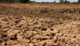 Drought hits agricultural production in Cambodia