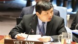 越南支持联合国安理会解决非洲面临的恐怖和暴力极端主义威胁