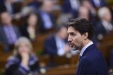 Thủ tướng Canada tự cách ly do phu nhân bị nghi mắc COVID-19