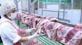 做好猪肉市场保供稳价