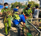 Đoàn phường Phú Cường, TP.Thủ Dầu Một: Phối hợp vệ sinh môi trường rạch nhánh cầu Ông Kiểm