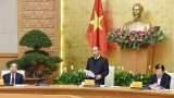 越南政府总理阮春福：在任何情况下都要切实保障粮食可持续安全