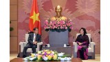 越南国会主席阮氏金银会见日本驻越南大使