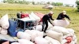 越南国家粮食储备随时能满足紧急情况下的需求