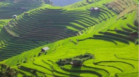 木江界跻身2020年世界最佳目的地名单